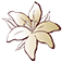 Hollinger Funeral Home & Crematory, Inc.