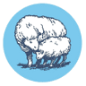 Holy Lamb Organics