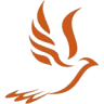 Holy Spirit College