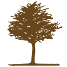 Holzwood s.r.o.