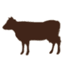 Honey Brook Farm