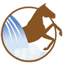 Hope Springs Equestrian Therapy