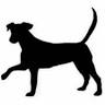 Hopeful Tails Animal Rescue