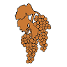 Hopewell Valley Vineyards