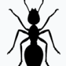 Hopper Termite & Pest Management