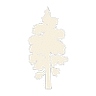 Hops On Birch
