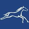 HorseMedSA Hills Equine Veterinary Clinic