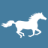 Southern Cross Horse Treks