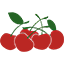 Emporium & Hortifruti Higienópolis
