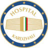 Hospital doctor 