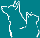 Hospital Veterinario Medivet