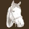 Le Cheval Blanc