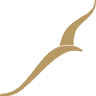 Hotel Albatros Active