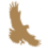 Hotel Condor