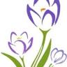 Hotel Crocus