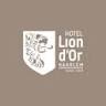 Hotel Lion d'Or