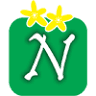 Hotel Nativo