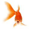 House of Fisher Serviced Apartments - Athena Court