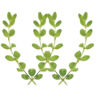 The House of Wynne