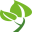 HovenierNederland