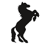 Horse Training Center Hellmayr