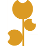 Plants and flowers Huber GmbH