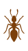 Humboldt Termite & Pest Control