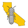 Hume Termite