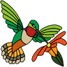 Hummingbird Hill Stained Glass