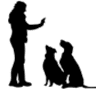Mobile Hundeschule & Hundebetreuung Griem