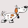 Hundeschule Mistelbach Dogs4Life