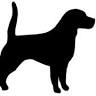 Hundefriseur Hundestudio Bremen