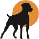 Hundewelt-Pfalz