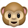 Hungry Monkey