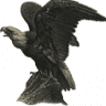 Hudson Valley Numismatics