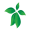 CBD Quimper - HydroetCulture Quimper