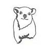 Hyrax - veterinary clinic
