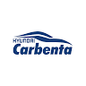 Hyundai Oradea | Carbenta