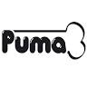 Puma. Wholesale zoological