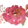 Floriculture Iara Flores