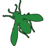 Irish Brothers Pest Control