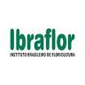 Ibraflor