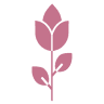 Ibranyi is Floral