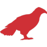 Icarus Falconry