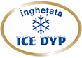 ICE DYP Balas LLC