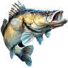 ICHTYS - angling Equipment