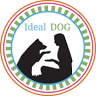 Ideal DOG LLC- Downtown training studio