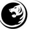 IDE JOINT STOCK COMPANY