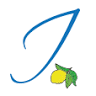 L' Olio di Vincenzo