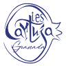 IES Cartuja